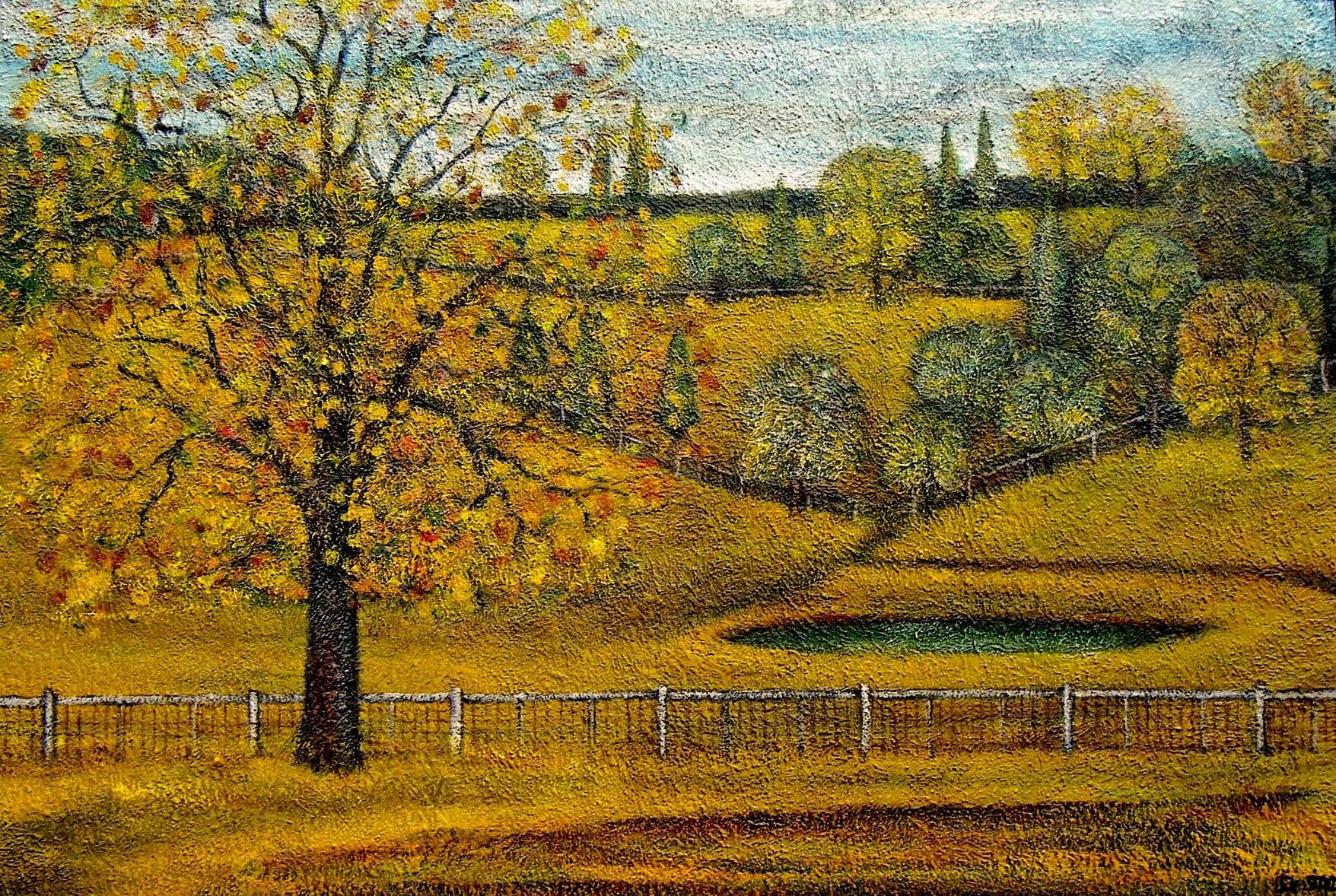 Autumn Fields