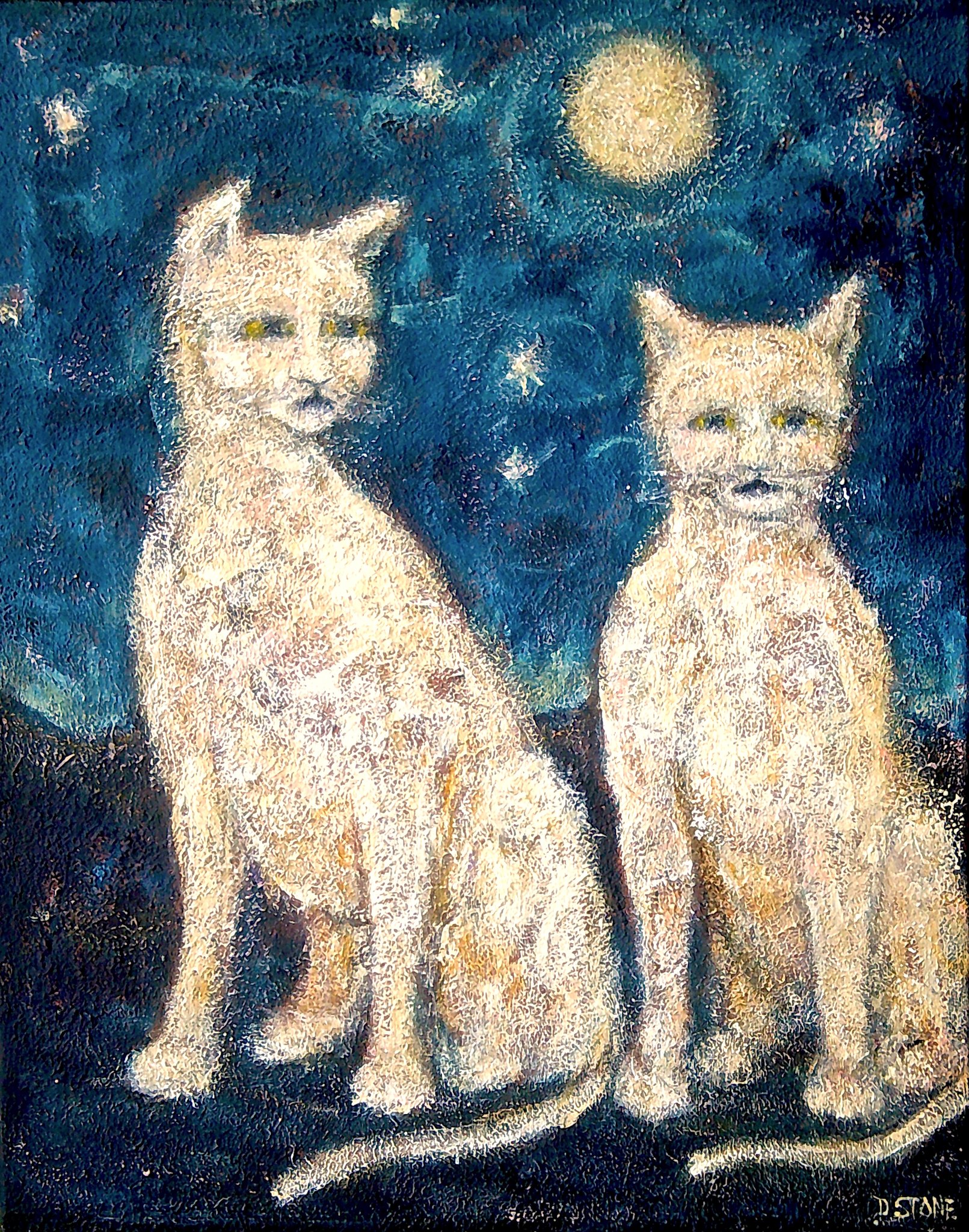 MIDNIGHT CATS