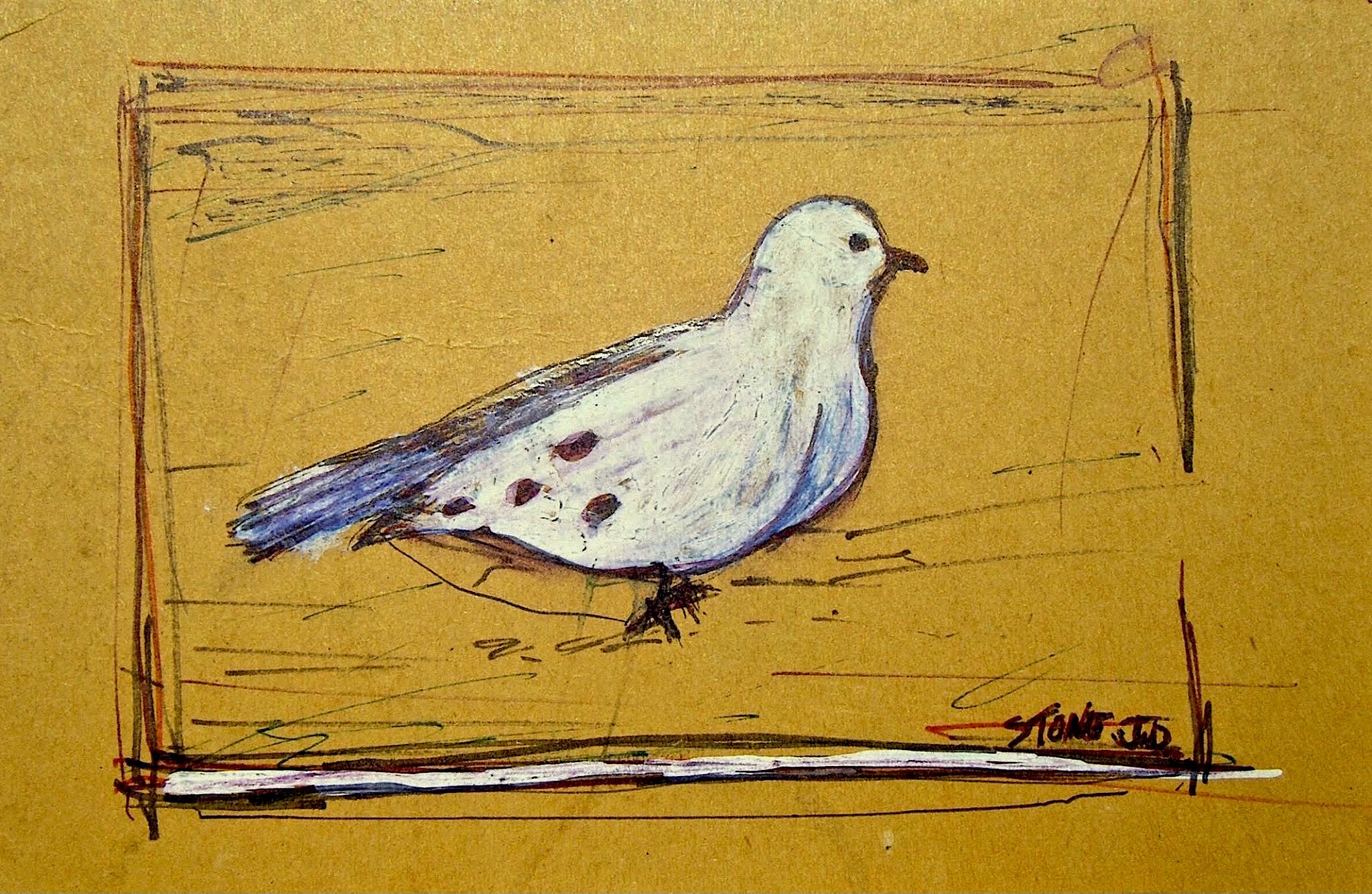 One Dove