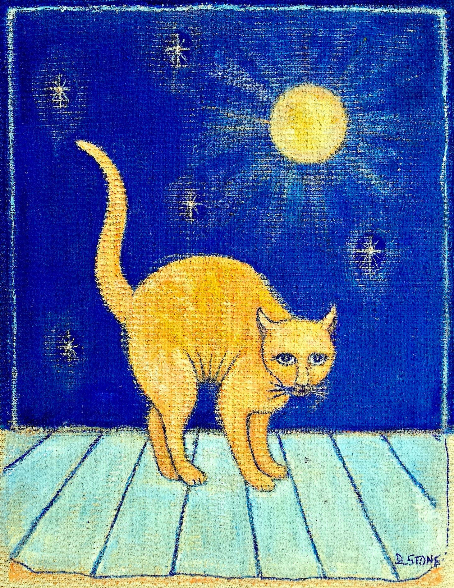 THE MOONLIT CAT